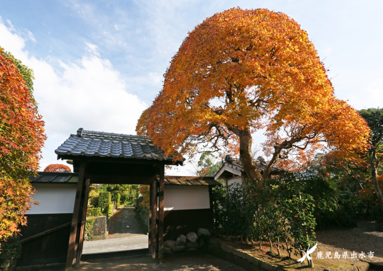 出水市・晩秋の税所邸