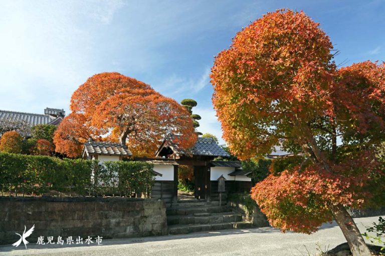 晩秋の麓