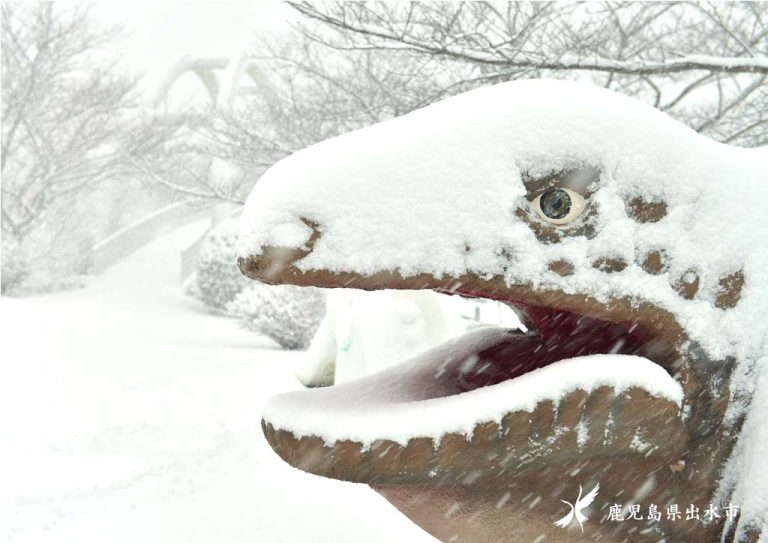 雪に覆われた東光山公園