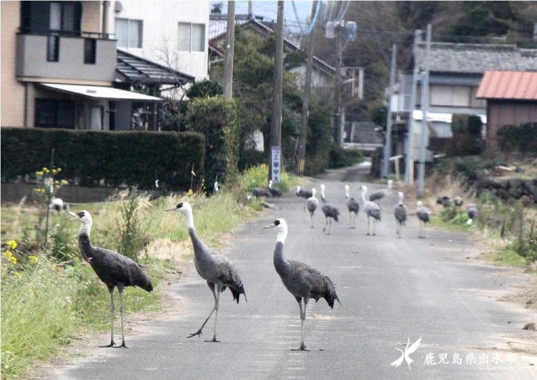 地域にとけこむ