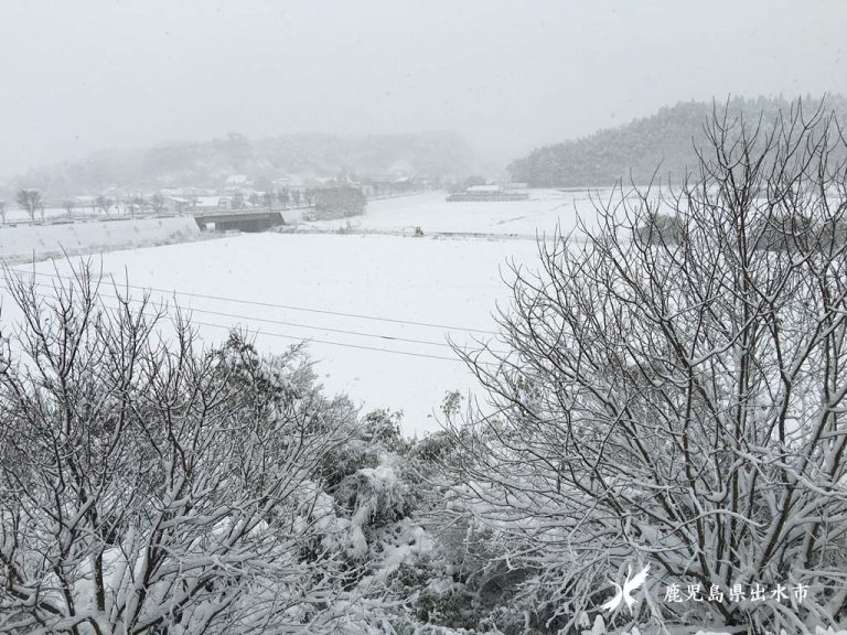 雪景色