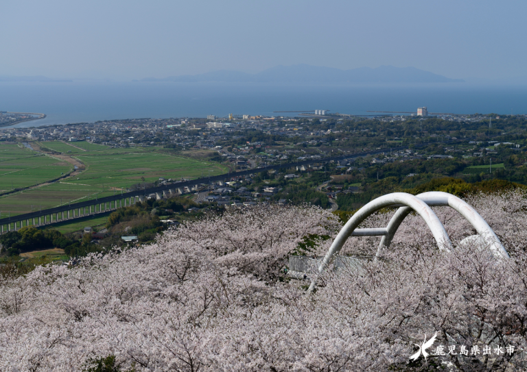 東光山の桜