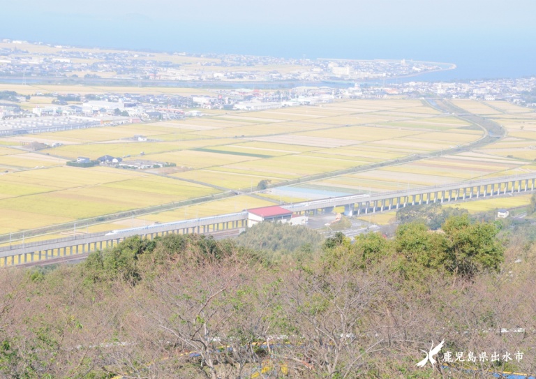 広がる出水平野