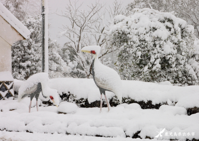 思いがけない積雪