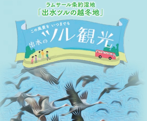 出水市のツル観光について（令和６年度ツル越冬地利用調整）